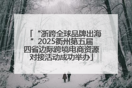 “浙跨全球品牌出海”2025衢州第五届四省边际跨境电商资源对接活动成功举办