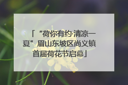 “荷你有约·清凉一夏”眉山东坡区尚义镇首届荷花节启幕