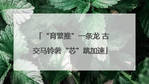 “育繁推”一条龙 古交马铃薯“芯”跳加速