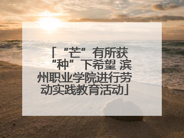 “芒”有所获 “种”下希望 滨州职业学院进行劳动实践教育活动