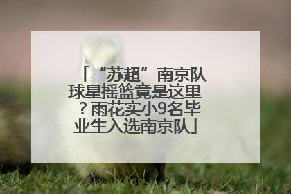 “苏超”南京队球星摇篮竟是这里？雨花实小9名毕业生入选南京队