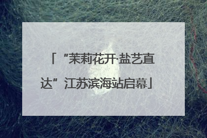 “茉莉花开·盐艺直达”江苏滨海站启幕