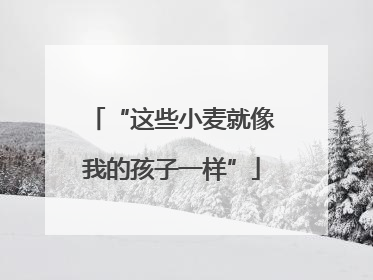 “这些小麦就像我的孩子一样”