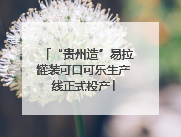“贵州造”易拉罐装可口可乐生产线正式投产