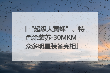 “超级大黄蜂”、特色涂装苏-30MKM 众多明星装备亮相