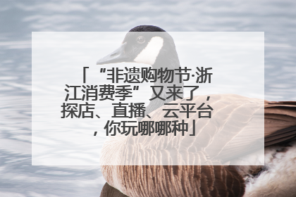“非遗购物节·浙江消费季”又来了，探店、直播、云平台，你玩哪哪种