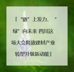 “链”上发力、“绿”向未来 四川这场大会释放建材产业转型升级新动能