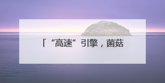 “高速”引擎，菌菇生金——记全省担当作为优秀驻村第一书记、湖南高速集团肖兴旺