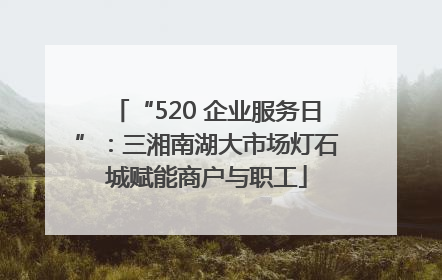 “520 企业服务日”：三湘南湖大市场灯石城赋能商户与职工