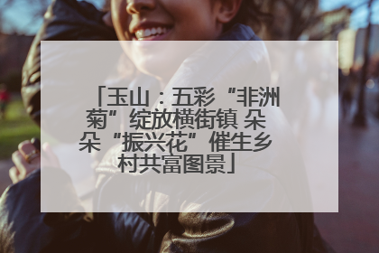 玉山：五彩“非洲菊”绽放横街镇 朵朵“振兴花”催生乡村共富图景