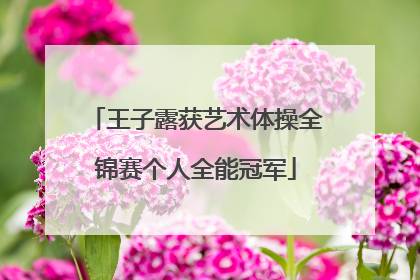 王子露获艺术体操全锦赛个人全能冠军