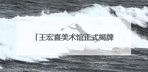 王宏喜美术馆正式揭牌！153 件艺术珍品 “ 回归 ” 连云港，并向市民免费开放