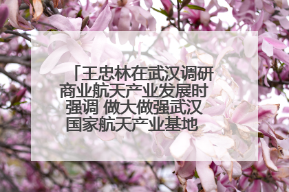 王忠林在武汉调研商业航天产业发展时强调 做大做强武汉国家航天产业基地 打造具有全国影响力的“中国星谷”