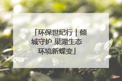 环保世纪行｜倾城守护 巢湖生态环境新蝶变