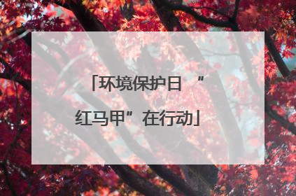 环境保护日 “红马甲”在行动