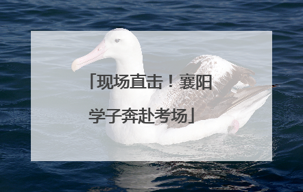 现场直击！襄阳学子奔赴考场