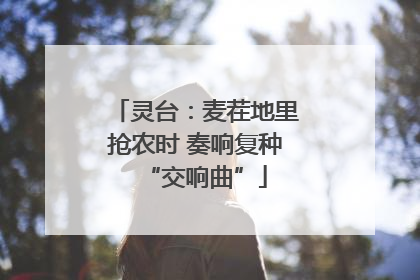 灵台：麦茬地里抢农时 奏响复种“交响曲”
