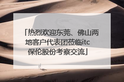 热烈欢迎东莞、佛山两地客户代表团莅临itc保伦股份考察交流