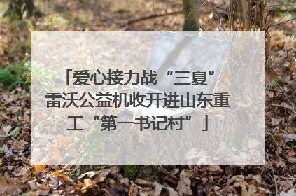 爱心接力战“三夏” 雷沃公益机收开进山东重工“第一书记村”
