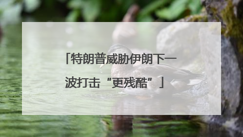 特朗普威胁伊朗下一波打击“更残酷”