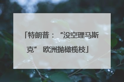 特朗普：“没空理马斯克” 欧洲抛橄榄枝