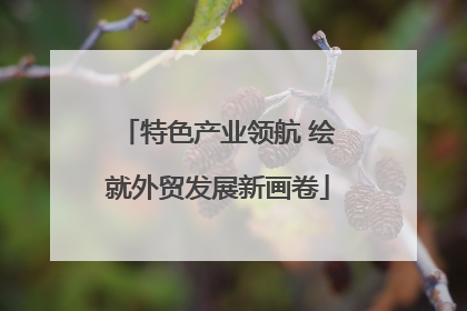特色产业领航 绘就外贸发展新画卷