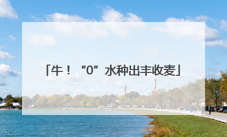 牛！“0”水种出丰收麦