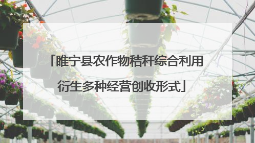 睢宁县农作物秸秆综合利用 衍生多种经营创收形式