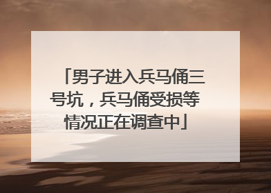 男子进入兵马俑三号坑，兵马俑受损等情况正在调查中