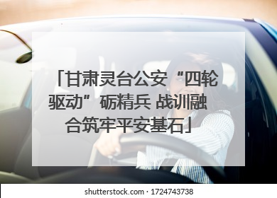 甘肃灵台公安“四轮驱动”砺精兵 战训融合筑牢平安基石
