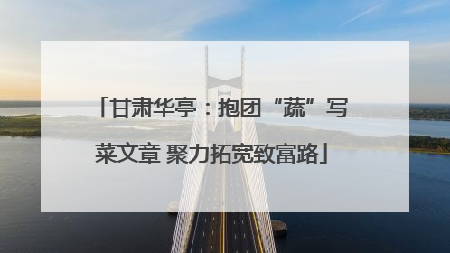 甘肃华亭：抱团“蔬”写菜文章 聚力拓宽致富路