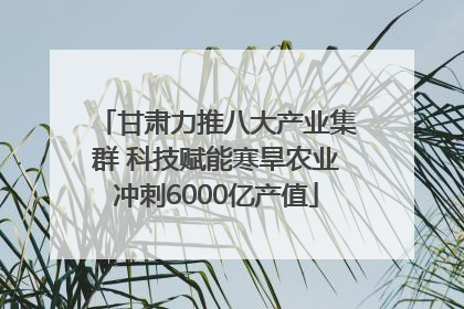 甘肃力推八大产业集群 科技赋能寒旱农业冲刺6000亿产值