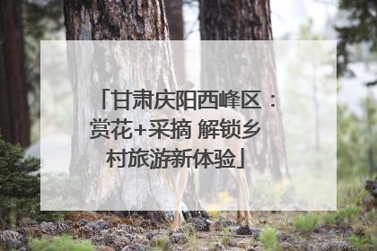 甘肃庆阳西峰区：赏花+采摘 解锁乡村旅游新体验