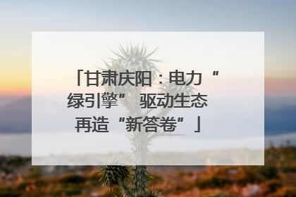 甘肃庆阳：电力“绿引擎” 驱动生态再造“新答卷”
