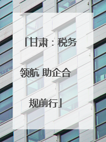 甘肃：税务领航 助企合规前行