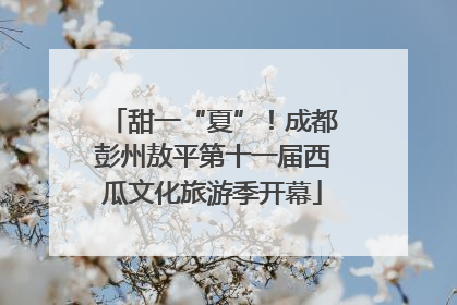甜一“夏”！成都彭州敖平第十一届西瓜文化旅游季开幕