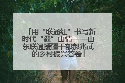 用“联通红”书写新时代“疆”山情——山东联通援疆干部郝兆武的乡村振兴答卷
