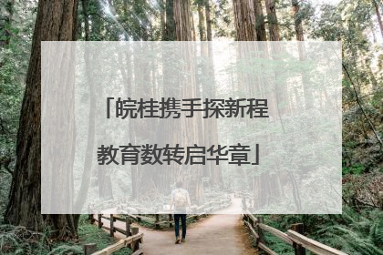 皖桂携手探新程 教育数转启华章