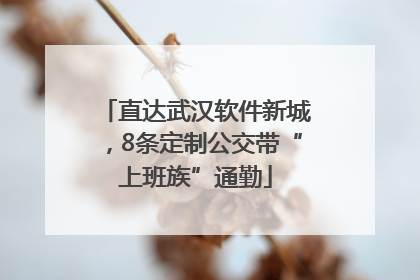 直达武汉软件新城，8条定制公交带“上班族”通勤