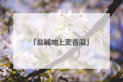 盐碱地上麦香溢