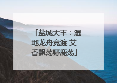 盐城大丰：湿地龙舟竞渡 艾香飘荡野鹿荡
