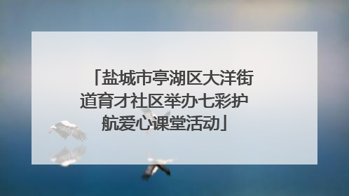盐城市亭湖区大洋街道育才社区举办七彩护航爱心课堂活动