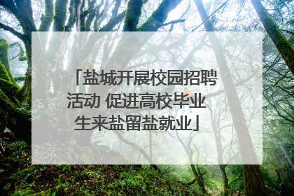 盐城开展校园招聘活动 促进高校毕业生来盐留盐就业