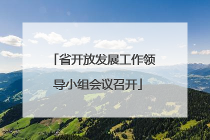 省开放发展工作领导小组会议召开