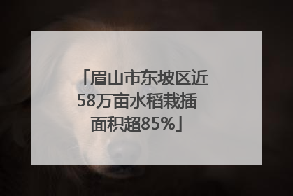 眉山市东坡区近58万亩水稻栽插面积超85%