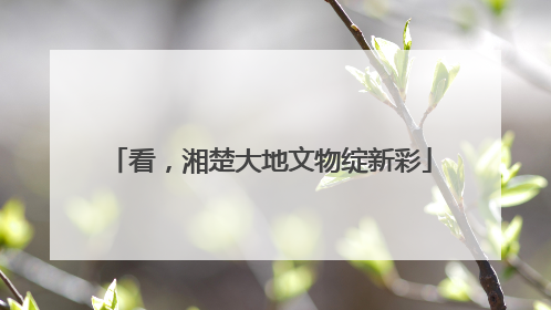 看，湘楚大地文物绽新彩