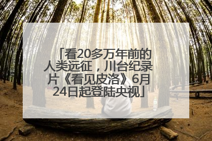 看20多万年前的人类远征，川台纪录片《看见皮洛》6月24日起登陆央视