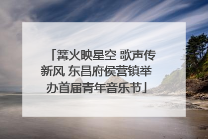 篝火映星空 歌声传新风 东昌府侯营镇举办首届青年音乐节