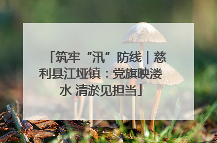 筑牢“汛”防线｜慈利县江垭镇：党旗映溇水 清淤见担当