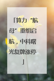 算力“航母”重组启航，中科曙光复牌涨停